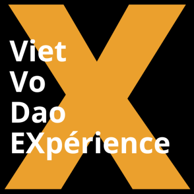 VVDX logo 2 SITE
